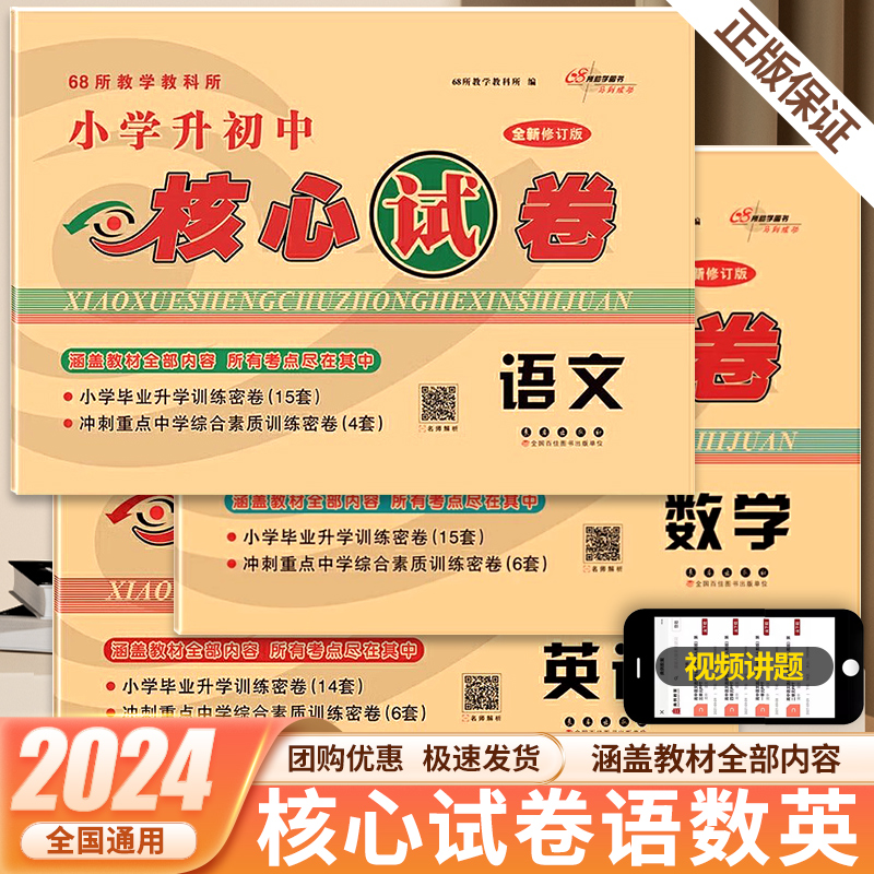 2024新版小学初中核心试卷语文