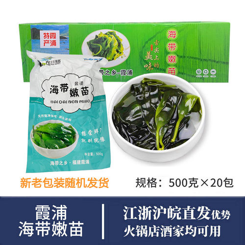 霞浦盐渍海带苗嫩苗商用
