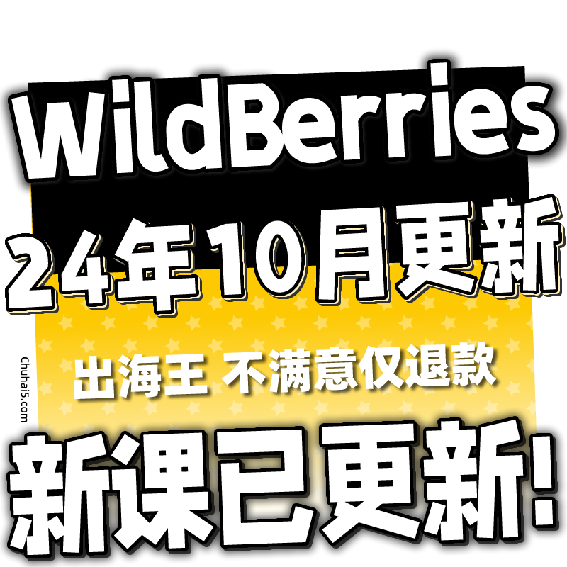 俄罗斯WB本土跨境WildBerries野莓入驻开店注册教程 新手运营课程