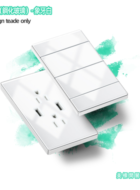 110v台湾插座美式大面板玻璃白色墙壁开关USB+Type-c2.1A快充美标
