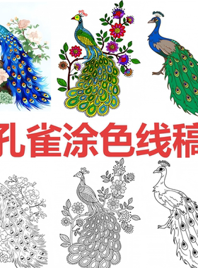 孔雀涂色本黑白线稿非遗传承