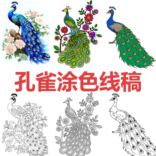 孔雀涂色本黑白线稿非遗传承