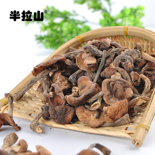半拉山 榛蘑东北小鸡炖蘑菇长白山特产野生蘑菇干货味香好吃新货