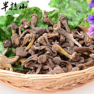 半拉山榛蘑丁 长白山榛蘑干货东北特产200g小鸡炖蘑菇