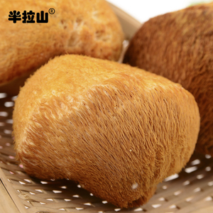 半拉山蘑菇长白山个大菌香浓
