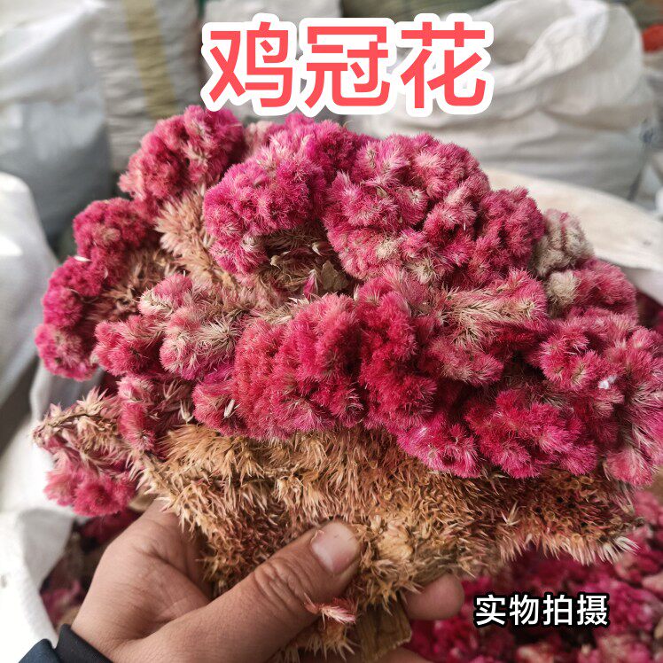 中药材野生鸡冠花 红鸡冠花 无硫鸡冠花 500克包邮
