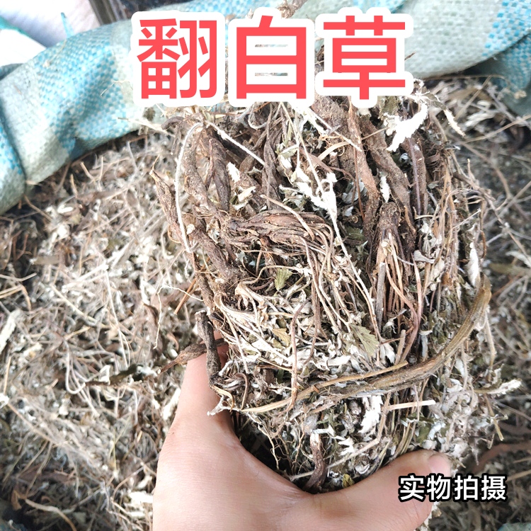 翻白草中药材500g正品野生整颗新货带根叶下白泡水泡茶番白草 传统滋补营养品 其他药食同源食品 原图主图