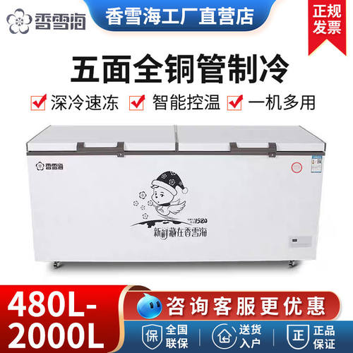 香雪海铜管大容量单温冷冻电冰柜