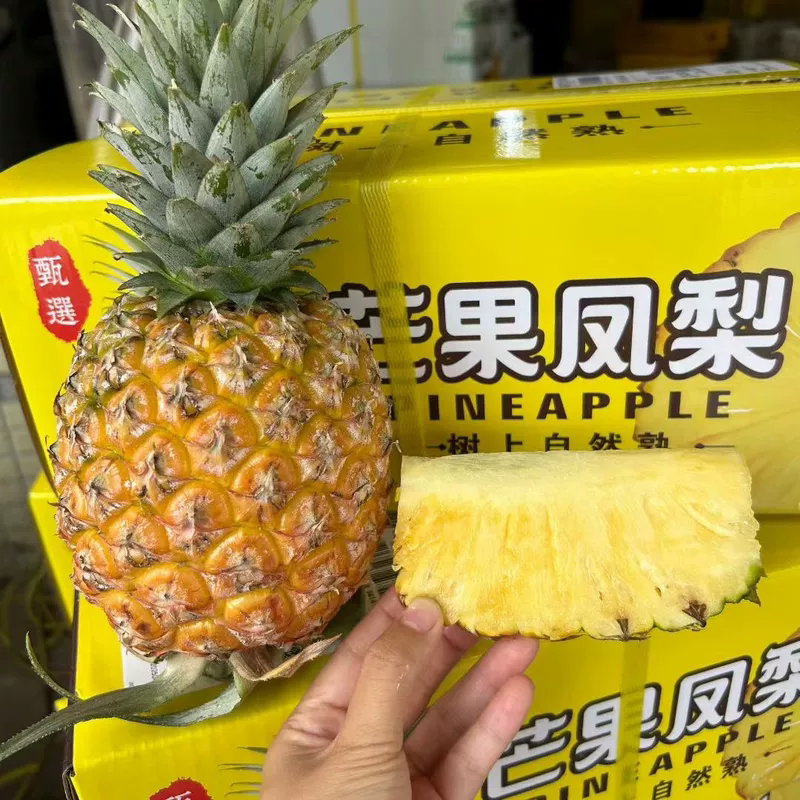 海南凤梨芒果凤梨菠萝蜜新鲜水果孕妇应季甜凤梨果园现摘现发图片