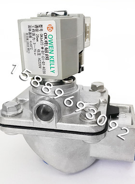 OWEN KELLY欧文凯利OK6425-M-B7-C1-G1-A220 3~7bar AC220V脉冲阀