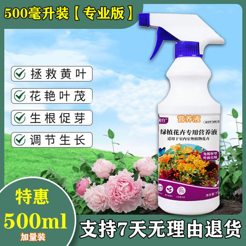 澳洲汤本正品绿叶庆旺植