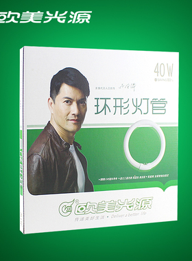 欧美光源环管T6灯管圆形荧光灯管 三基色节能灯22W28W32W40W55W