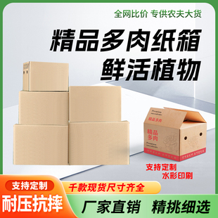 盒定制 精品多肉打包箱五层特硬快递植物纸箱邮政批发物流运输包装
