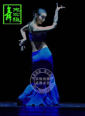 练功服抹胸宝蓝鱼尾裙舞蹈服2022