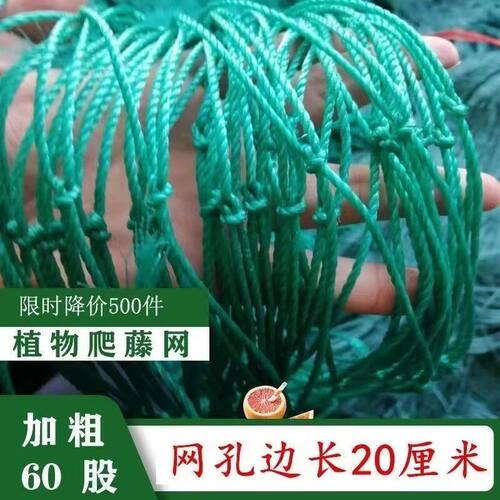 植物爬藤网菜园种植网