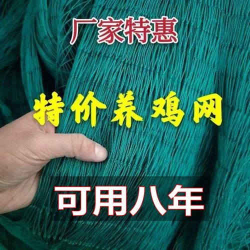 100米50米养鸡网拦鸡围网防飞网