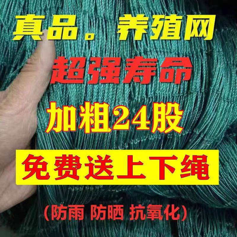 家禽塑料网护栏网菜园围网防护网