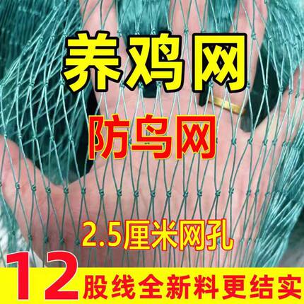 养殖网养鸡网尼龙网拦鸡网围鸡网家禽塑料网护栏网菜园围网防护网