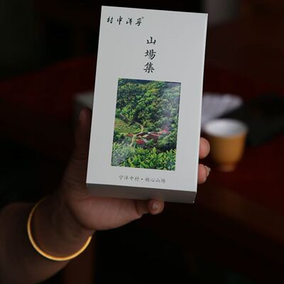 2026年春茶漳平水仙六大王牌山场合集六泡品鉴集