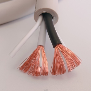 美国 天仙配 喇叭线 5N HIFI AV 喇叭线 主音箱线 中置线 发烧线