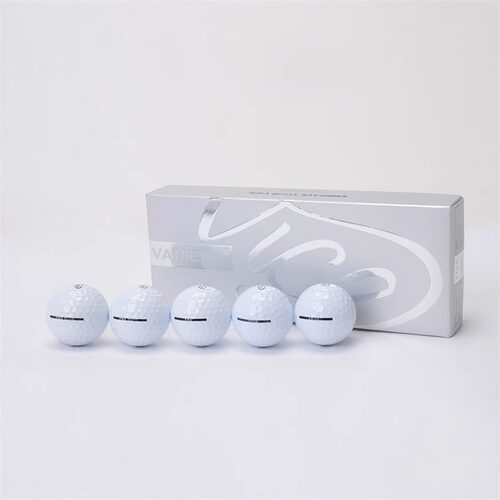 VICEVARIETY套装高尔夫球