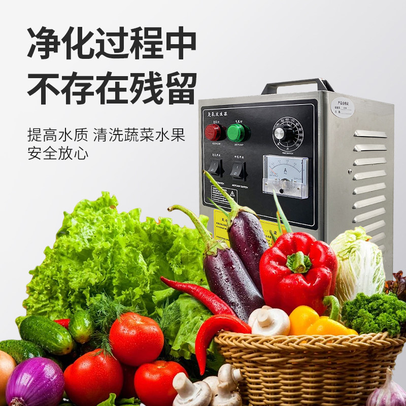 臭氧发生器水处理除异味杀菌消毒家用果蔬鱼缸食品加工厂养鱼场