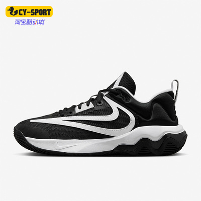 Nike/耐克正品新款Giannis男子运动实战篮球鞋DZ7534-003