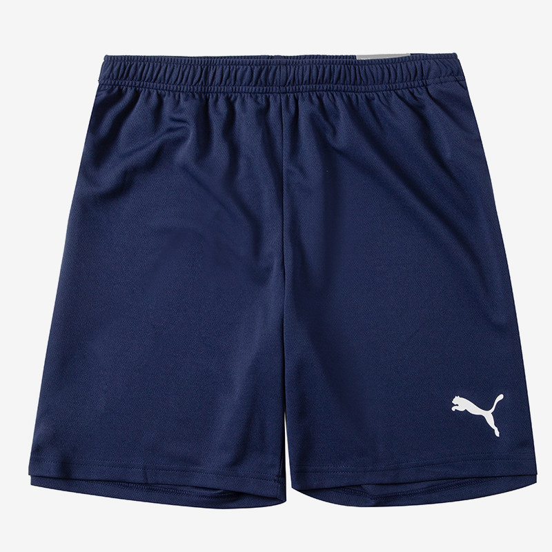 Puma/彪马正品年新款男子运动跑步休闲健身短裤704942-06,运动服/休闲服装,运动中长裤／短裤,淘宝优惠券,粉丝福利购,淘宝优惠卷