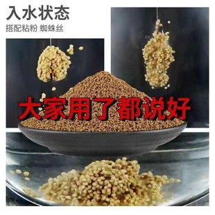 通威泡泡球饵料黑坑鲤鱼饵偷驴野钓原塘麻团颗粒滑口鲫回锅鱼克星