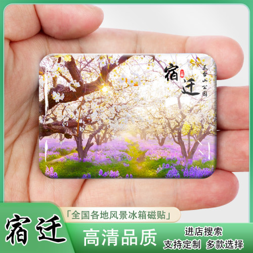 江苏宿迁旅游纪念品冰箱贴