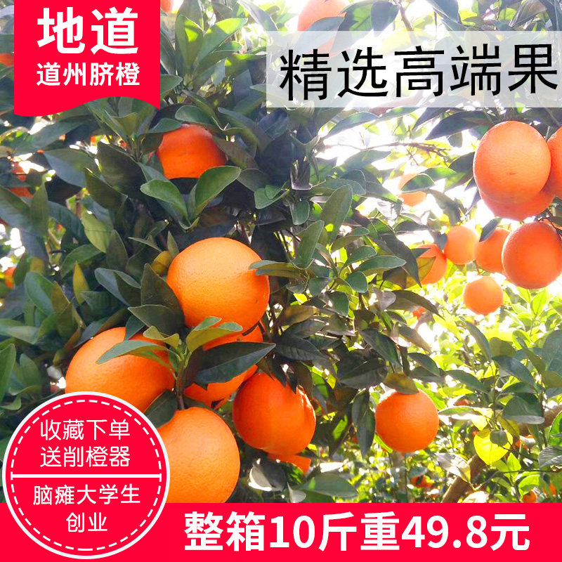 湖南道州脐橙超甜薄皮多汁新鲜柑橘孕妇水果桔现摘10斤装道县橙子,水产肉类/新鲜蔬果/熟食,橙,淘宝优惠券,粉丝福利购,淘宝优惠卷