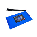 帅克 超薄12v锂电池聚合物光猫监控风扇电池组伏移动户外充电电源