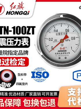 厂家直销 红旗牌仪表 耐震防震抗震压力表 YTN-100ZT 充油压力表
