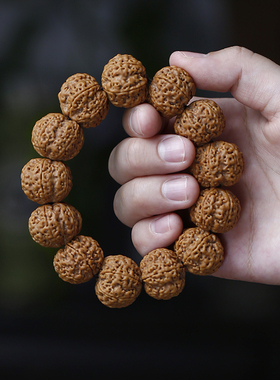 【精品】老料大金刚菩提手串男文玩佛珠尼泊尔天然原籽6六瓣盘玩