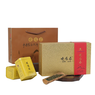 崂山绿茶礼盒装2025新茶叶青岛特产翠龙珠绿茶礼盒小包装100克