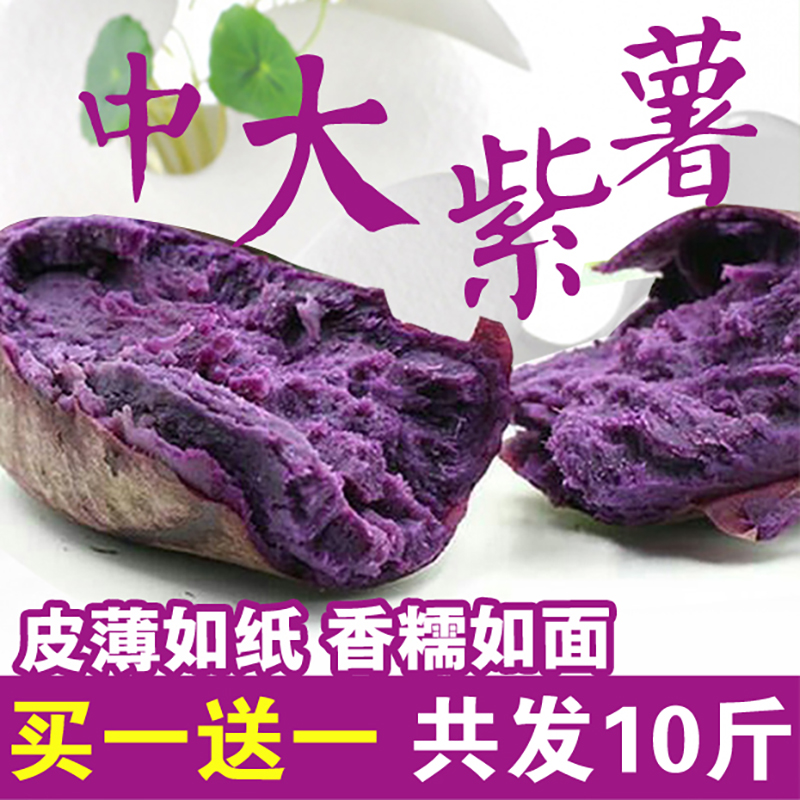 大红薯特产沙地番薯现挖紫番薯紫薯地瓜农家自种山芋富硒带箱10斤