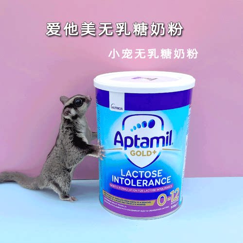 蜜袋鼯松鼠龙猫无乳糖奶粉仓鼠幼崽鼠蜜袋鼬爱他美无乳糖奶粉奶粉