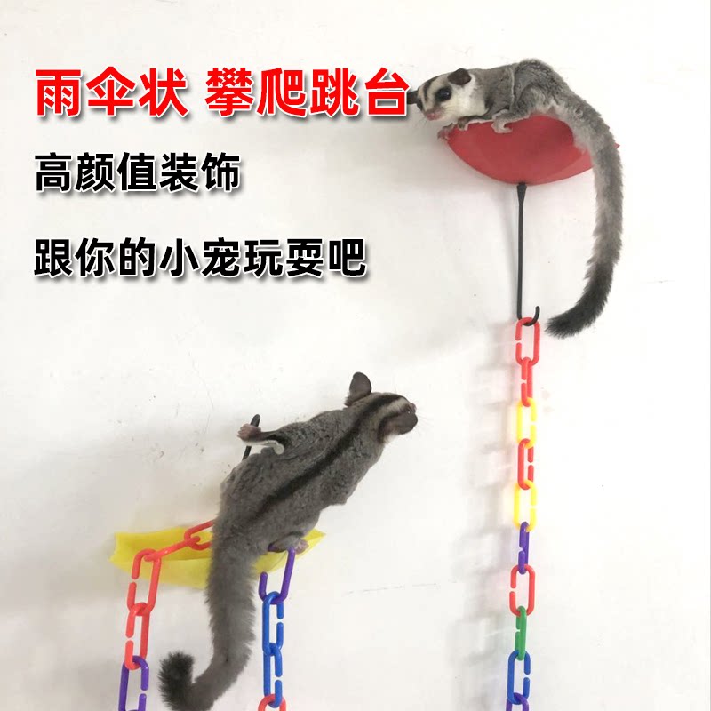 蜜袋鼯起飞跳台蜜袋鼬鼠用品攀爬玩具/造景装饰