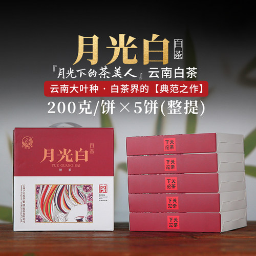 下关景谷月光白茶饼5饼整提装