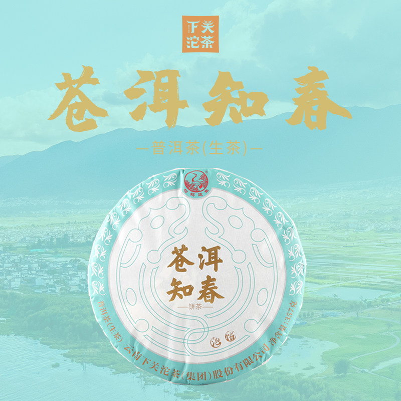 下关沱茶苍洱知春茶饼普洱生茶2023年357g云南七子饼茶叶滋味浓厚