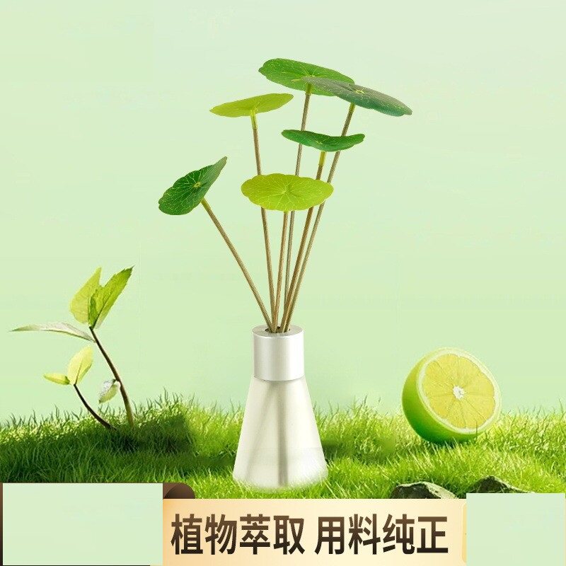 藤条绿色小清新荷叶自然散发无火