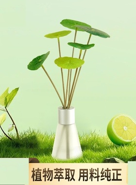 ZOLAND室内无火香薰礼盒套装藤条绿色小清新荷叶自然散发样板间新