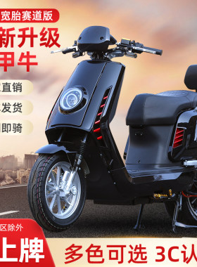 大牛14寸3000瓦全顺长跑王电摩车