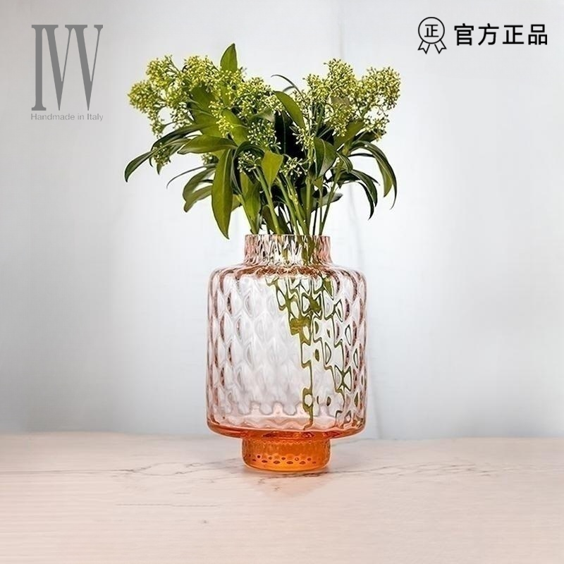 意大利ivv花瓶摆件客厅插花玻璃透明北欧创意简约水养插花器大号