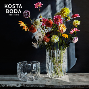 KOSTA 简约客厅插花摆件 进口水晶玻璃Crackle裂纹花瓶欧式 BODA