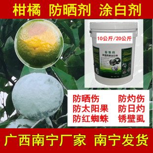 柑橘防晒涂白剂喷白防太阳果日灼伤晒伤裂果沃柑茂谷柑柑桔橙子