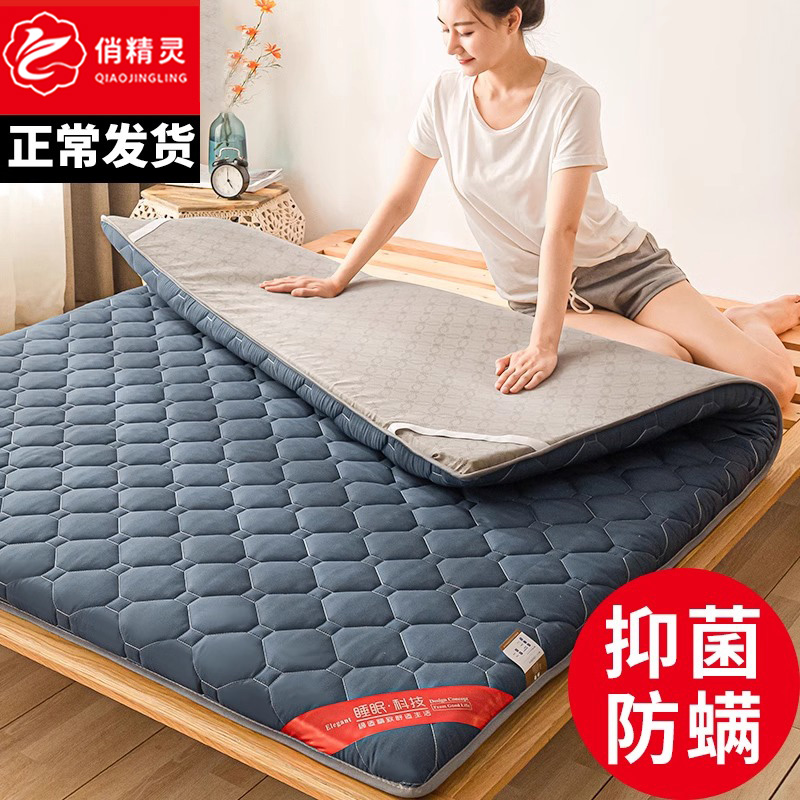 床垫软垫家用租房专用床褥