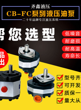 液压油泵 齿轮泵 车载油泵CB-FC20 25 32 40  50打压泵 液压泵站
