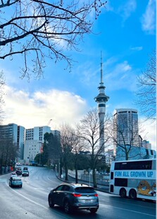 奥克兰接机送机跑腿代办