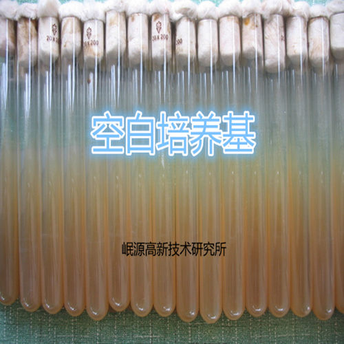 空白母种培养基菌种培育专用